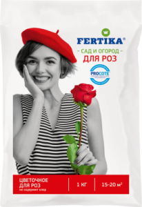 3c2253d3c3ba531bea31e3743e5386ea