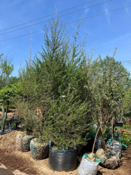 EA2B1F01-949E-471E-9055-E99BD44F