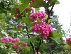 13464664-1170x878.webp@webp